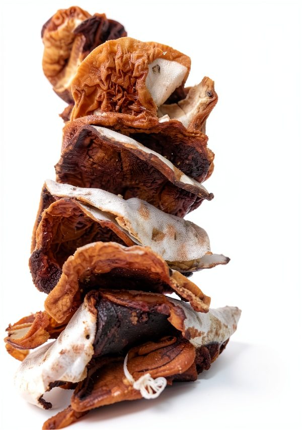 SEWERYN Dried Porcini Mushrooms Premium Quality Wild Polish-1