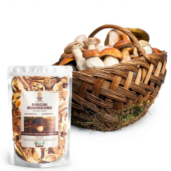 Dried Porcini Mushrooms Crown Fungi 3oz Rich-5