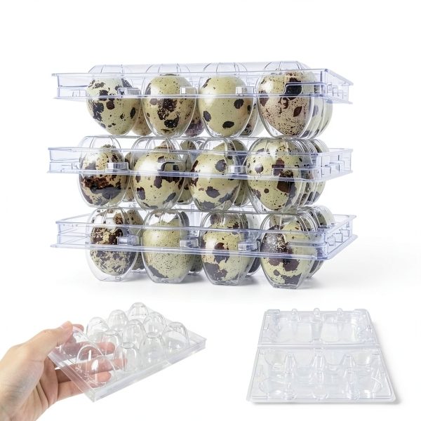Quail Egg Cartons by Gddochn – 50 Pack PVC Clear Egg Storage Trays-3
