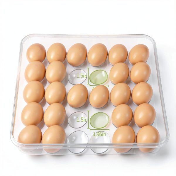 Deviled Egg Containers with Lid 2 Pack Clear Plastic RoskDeewat White-1